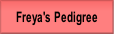 Freya's Pedigree.