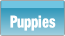 Puppies.